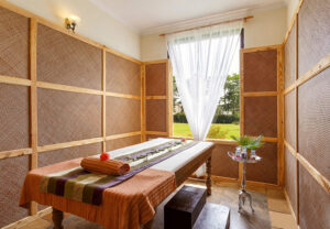 Ayurveda Therapies